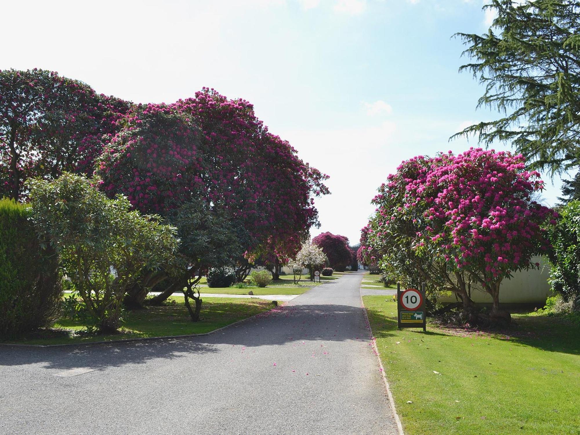 Tresco - B6520 Villa Saint Cleer Екстериор снимка